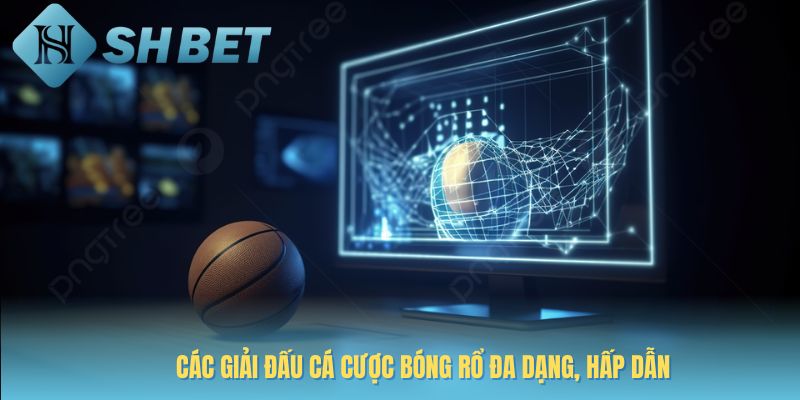 cá cược bóng rổ đa dạng giải đấu