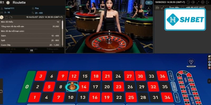 Các bước tham gia tại nhà cái