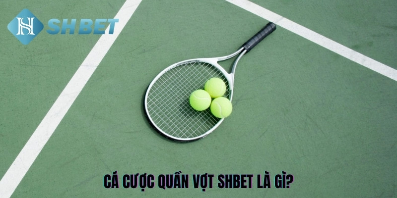 Cá cược quần vợt SHBET là gì?